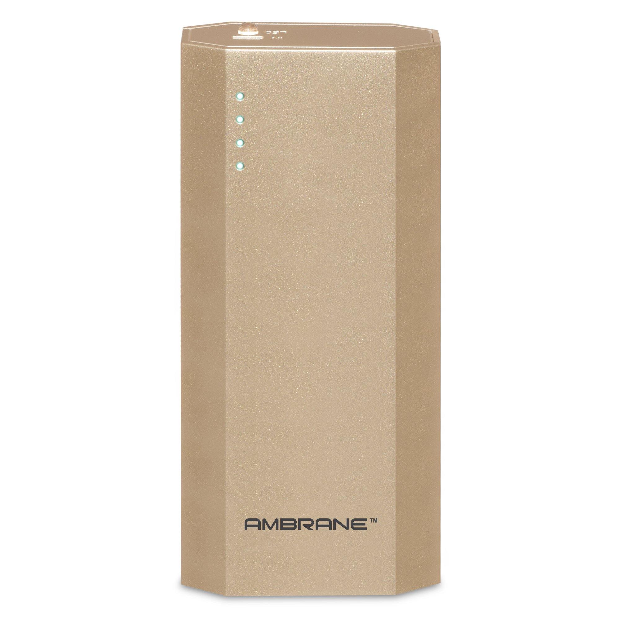 P-1111 10,000 mAh Power Bank - AmbraneIndia